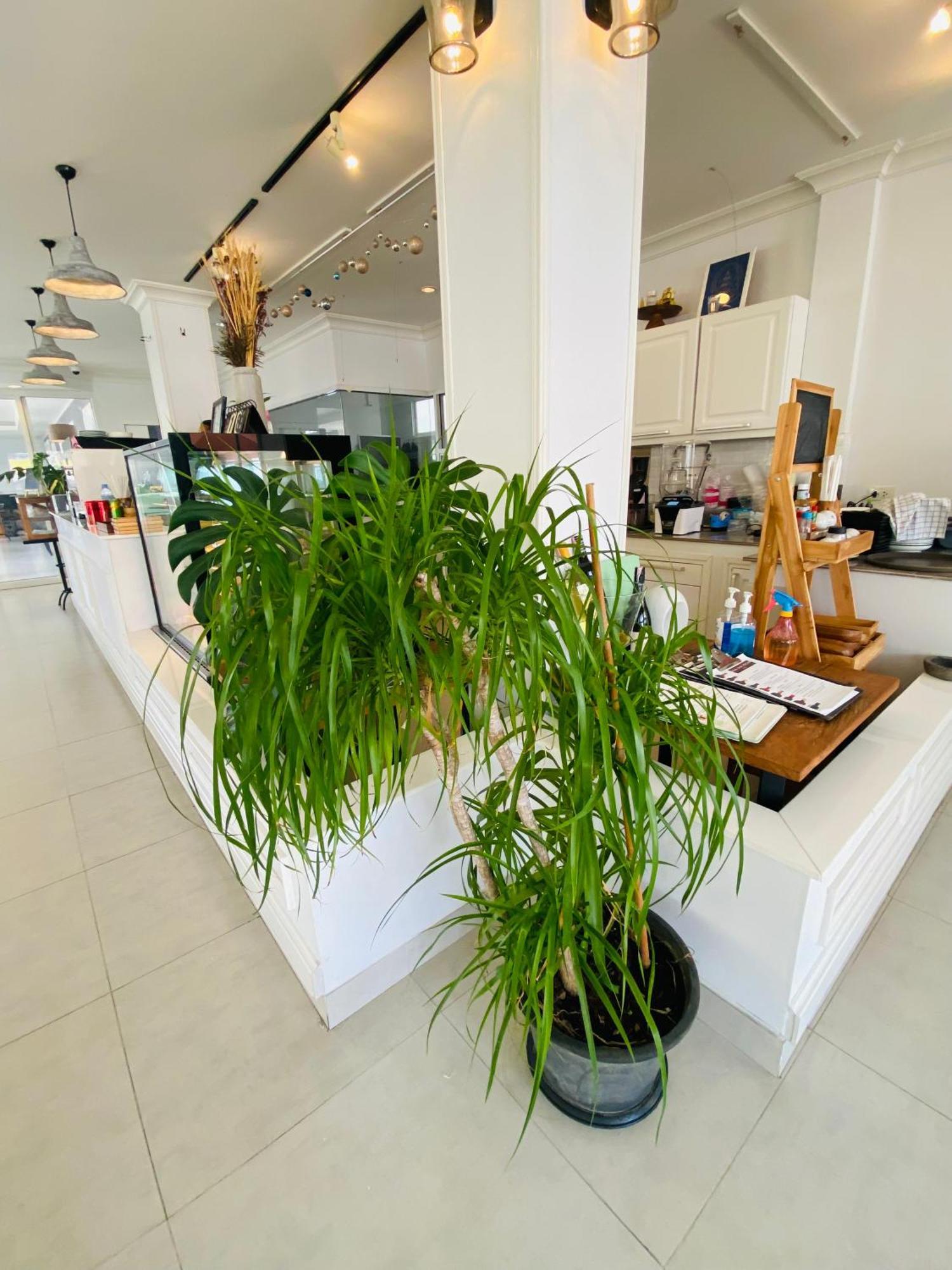 Forget Me Not Boutique Bed & Breakfast Hua Hin Exterior photo
